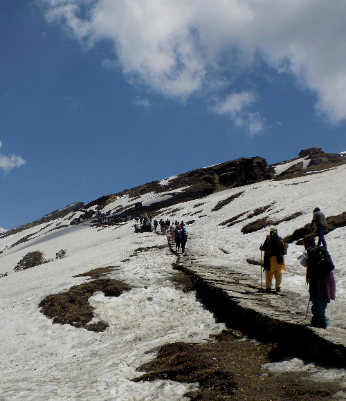 Chopta  Tungnath  Chandrashila Trek