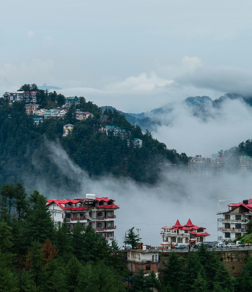 Shimla